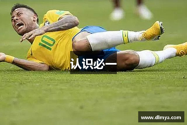 认识必一